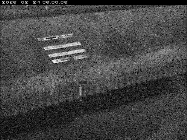 大路川１2026/02/25 2:30:00