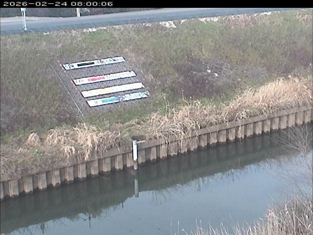 大路川１2026/02/25 2:30:00