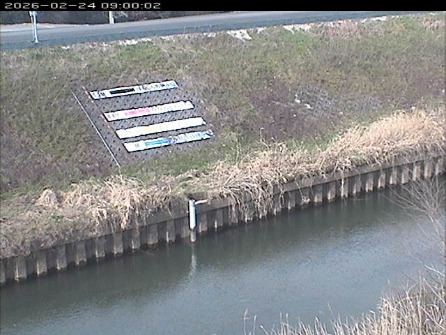 大路川１2026/02/25 2:30:00