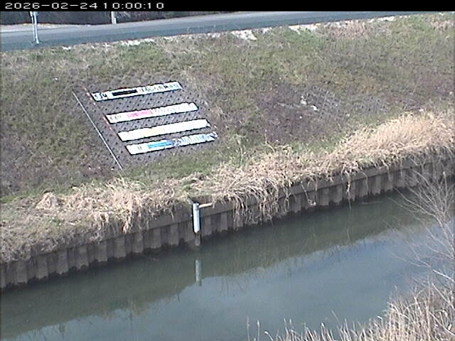 大路川１2026/02/25 2:30:00