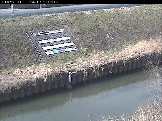 大路川１2026/02/25 2:30:00