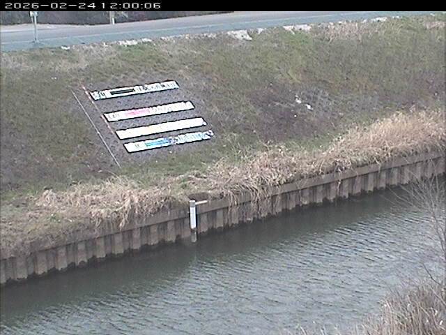 大路川１2026/02/25 2:30:00