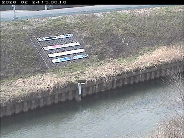 大路川１2026/02/25 2:30:00