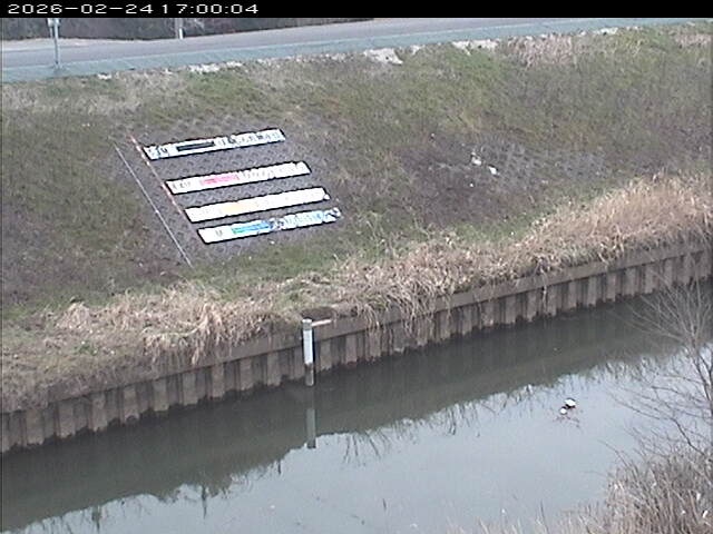 大路川１2026/02/25 2:30:00