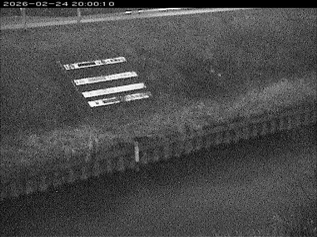 大路川１2026/02/25 2:30:00