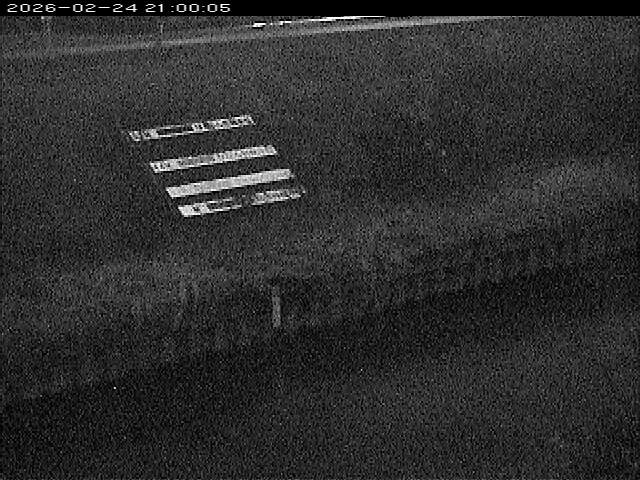 大路川１2026/02/25 2:30:00