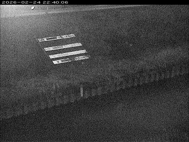 大路川１2026/02/25 2:30:00