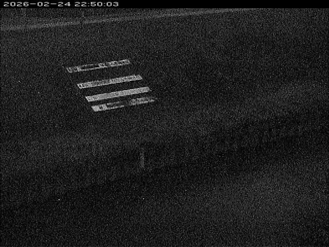 大路川１2026/02/25 2:30:00