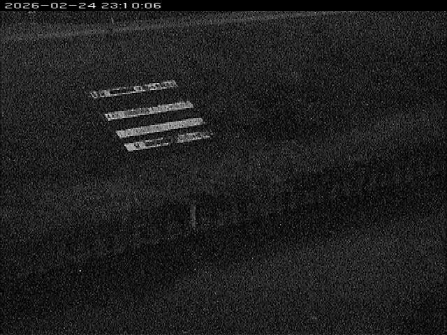 大路川１2026/02/25 2:30:00