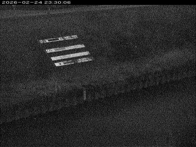 大路川１2026/02/25 2:30:00