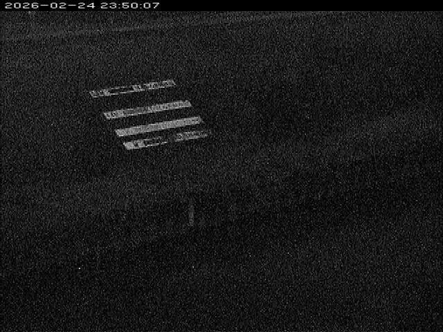 大路川１2026/02/25 2:30:00