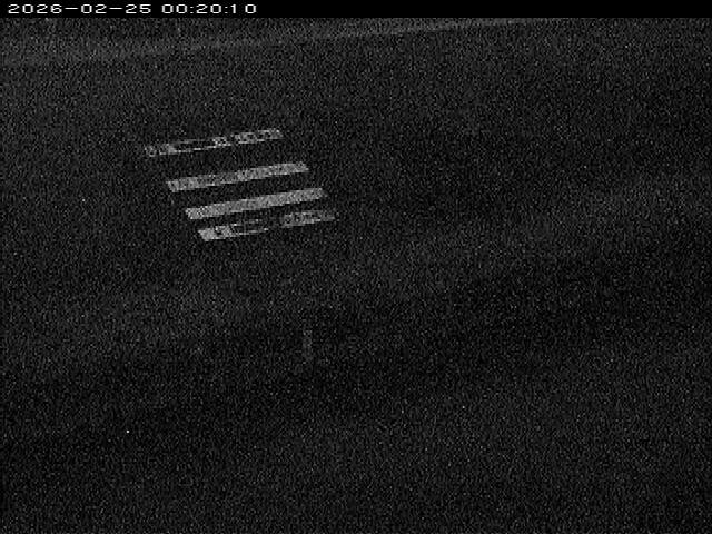 大路川１2026/02/25 2:30:00