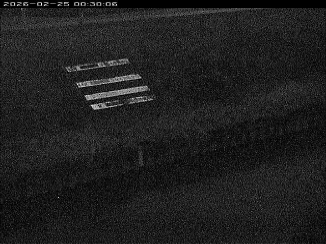 大路川１2026/02/25 2:30:00