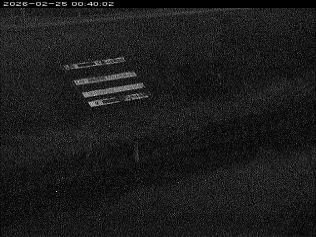 大路川１2026/02/25 2:30:00