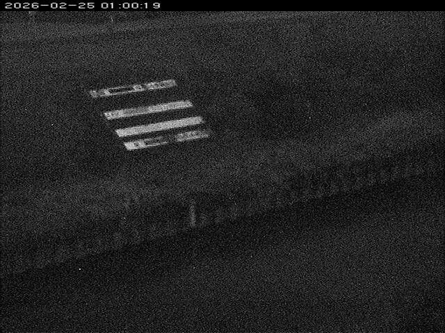 大路川１2026/02/25 2:30:00