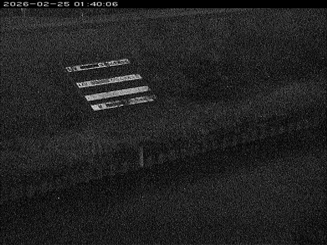 大路川１2026/02/25 2:30:00