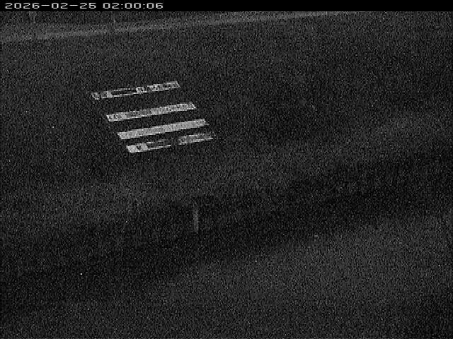 大路川１2026/02/25 2:30:00