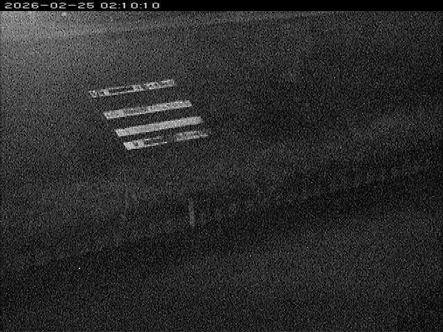 大路川１2026/02/25 2:30:00