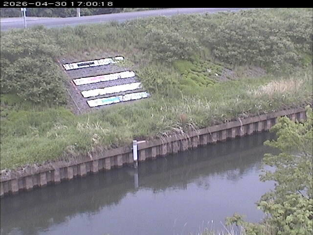 大路川１2026/05/01 16:50:00