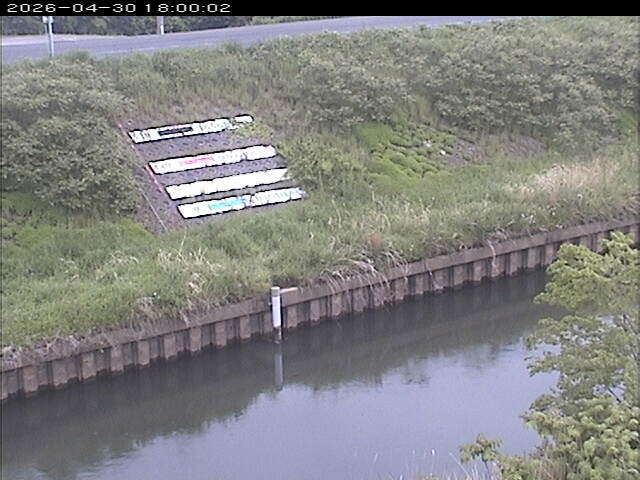 大路川１2026/05/01 16:50:00
