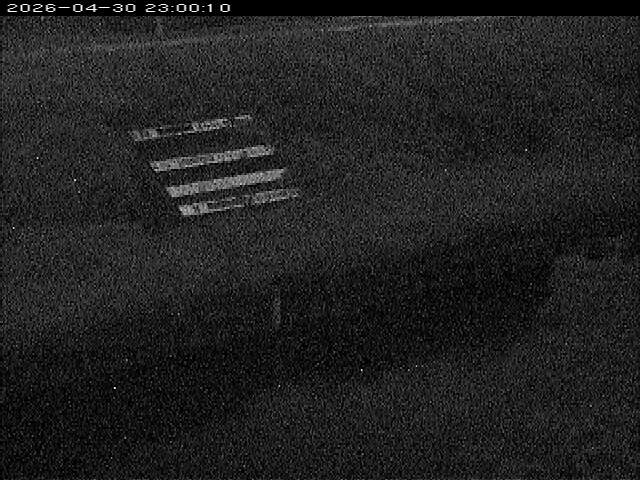 大路川１2026/05/01 16:50:00