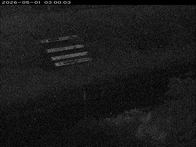 大路川１2026/05/01 16:50:00