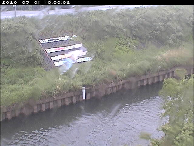 大路川１2026/05/01 16:50:00