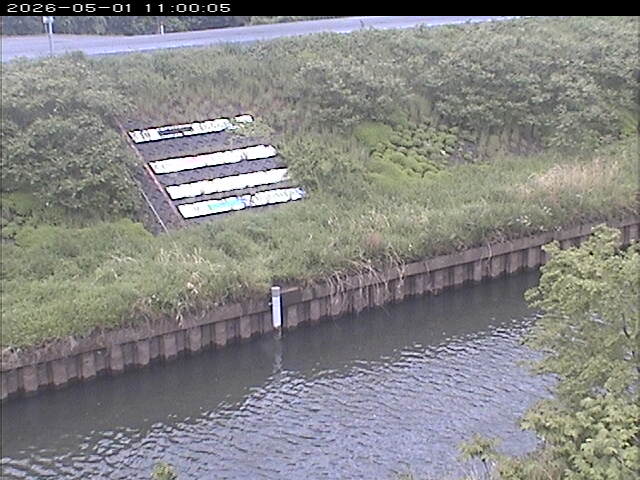 大路川１2026/05/01 16:50:00
