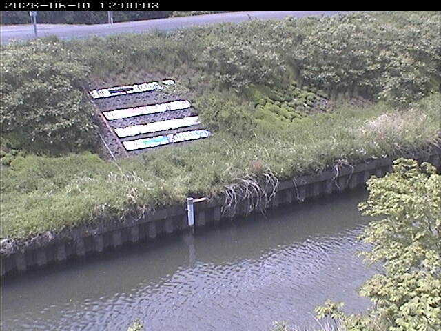 大路川１2026/05/01 16:50:00