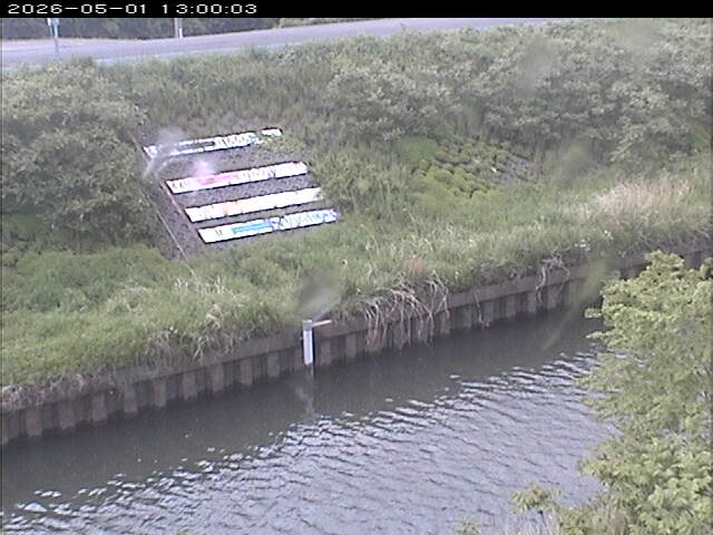 大路川１2026/05/01 16:50:00