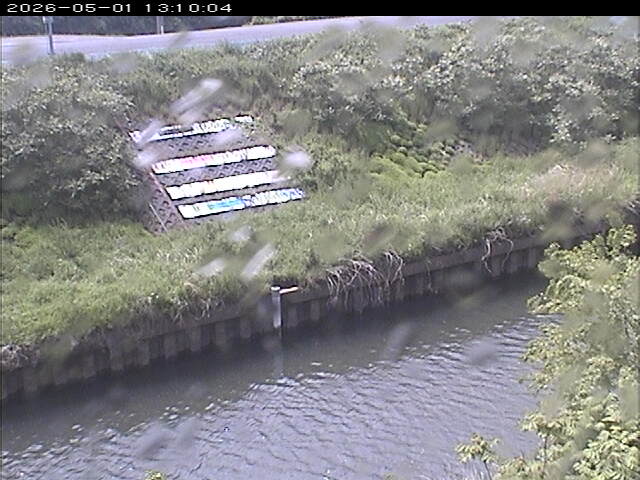 大路川１2026/05/01 16:50:00