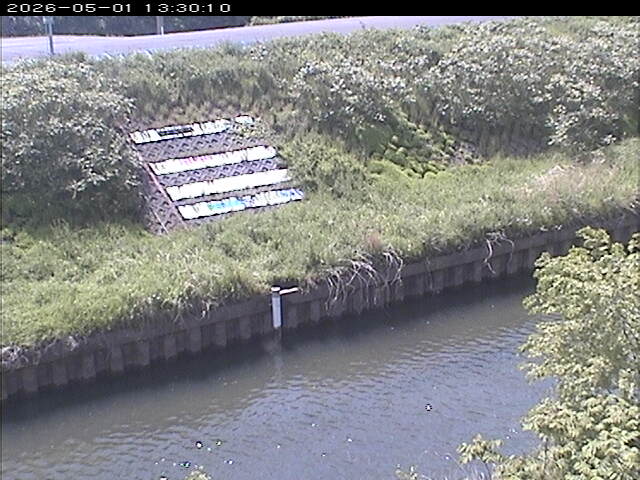 大路川１2026/05/01 16:50:00