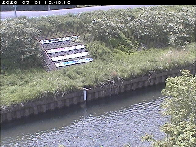 大路川１2026/05/01 16:50:00