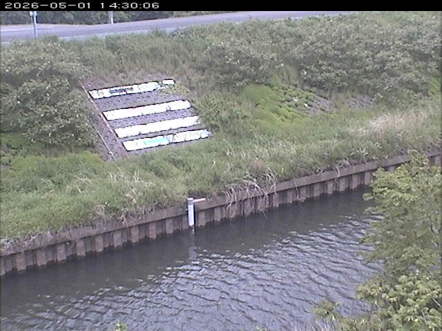大路川１2026/05/01 16:50:00