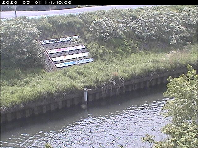 大路川１2026/05/01 16:50:00