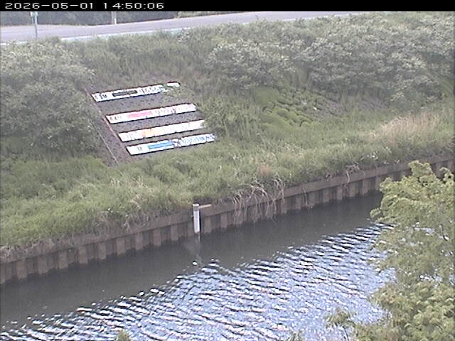 大路川１2026/05/01 16:50:00