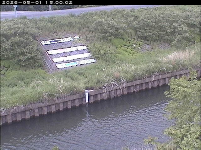 大路川１2026/05/01 16:50:00