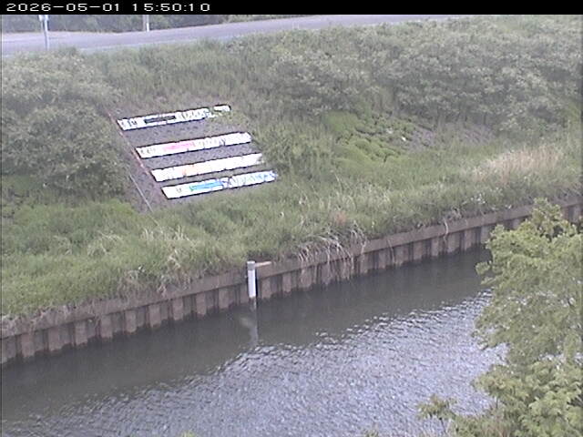 大路川１2026/05/01 16:50:00