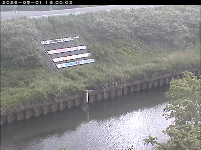 大路川１2026/05/01 16:50:00