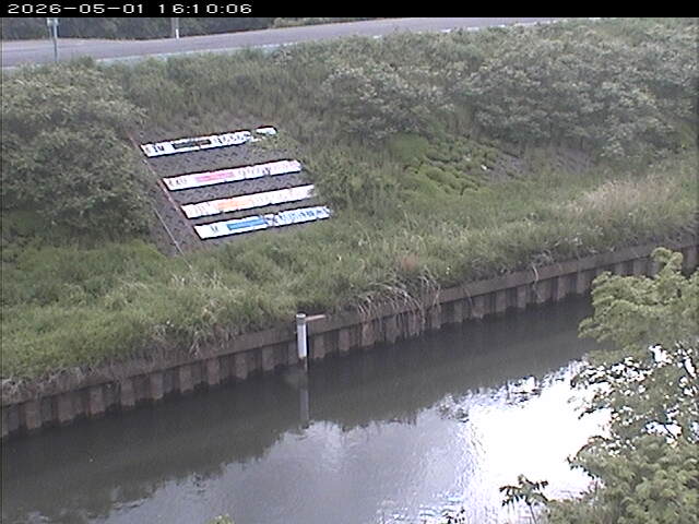 大路川１2026/05/01 16:50:00