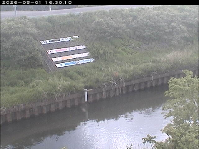 大路川１2026/05/01 16:50:00