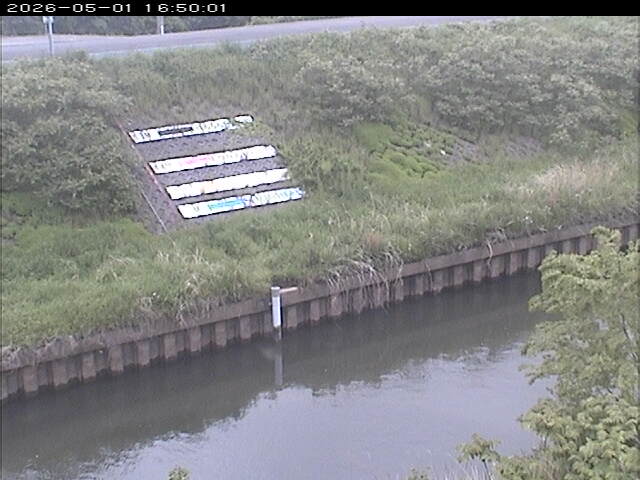 大路川１2026/05/01 16:50:00