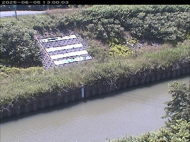 大路川１2025/06/06 1:00:00