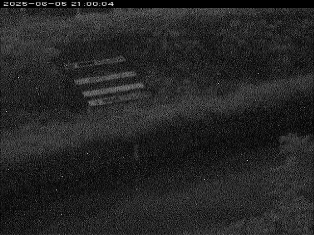 大路川１2025/06/06 1:00:00