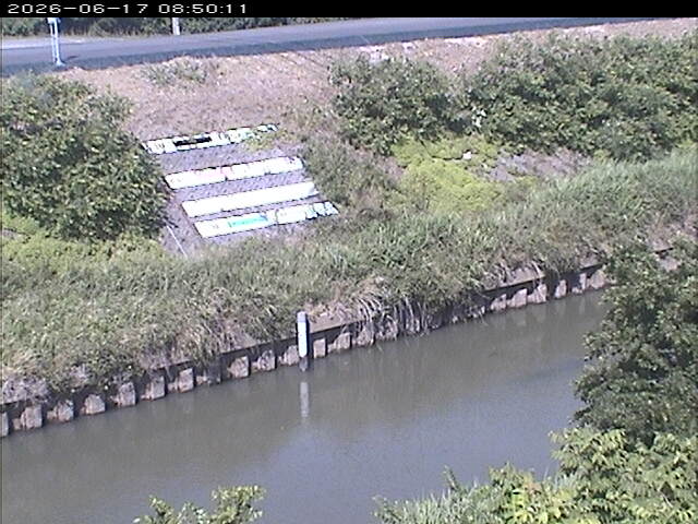大路川１2026/06/17 12:00:00