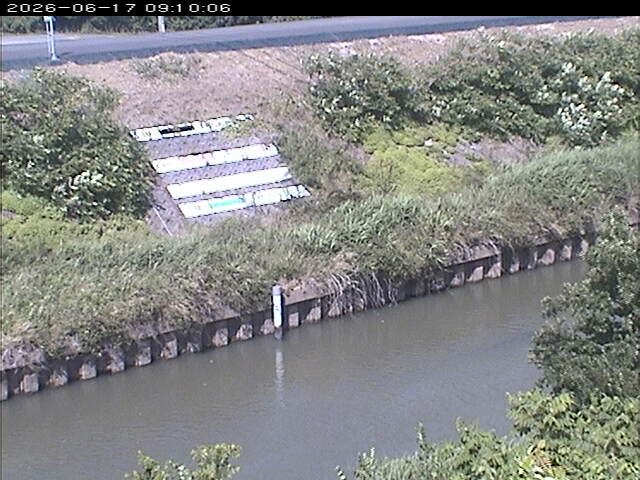 大路川１2026/06/17 12:00:00
