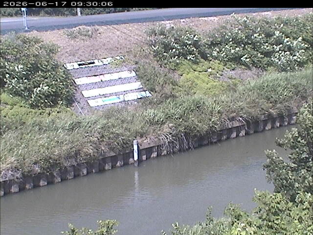 大路川１2026/06/17 12:00:00