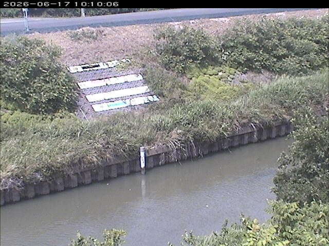 大路川１2026/06/17 12:00:00