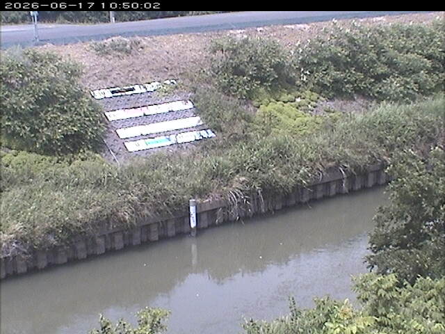 大路川１2026/06/17 12:00:00