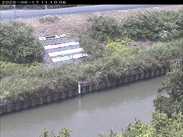 大路川１2026/06/17 12:00:00
